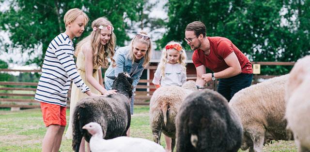 Perhe rapsuttamassa lampaita eläinten vanhainkoti Wanhalla Markilla.