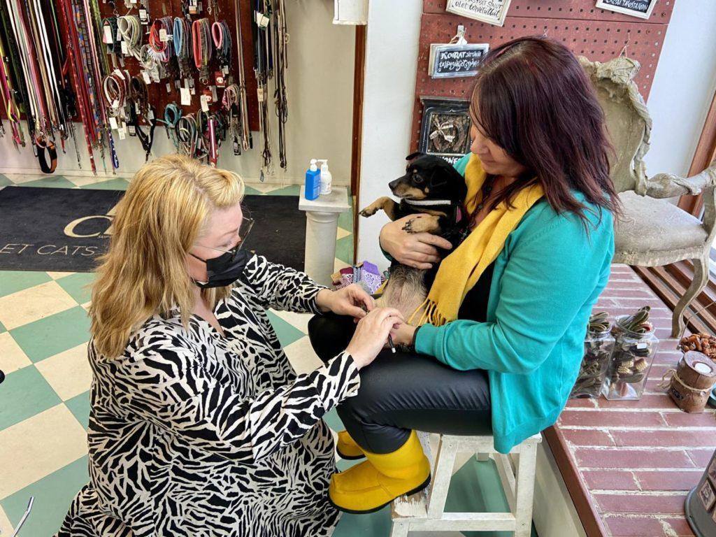 Pienen koiran kynsiä leikataan Törnävän eläinkauppa Woofsissa.