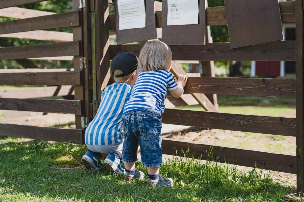 Lapset kurkkivat eläintarhan aitaukseen puiden välistä
