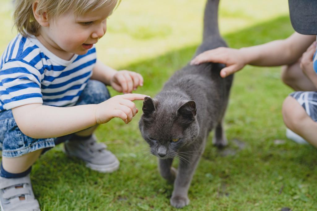 Lapset rapsuttavat tyytyväistä kissaa Wanhalla Markilla