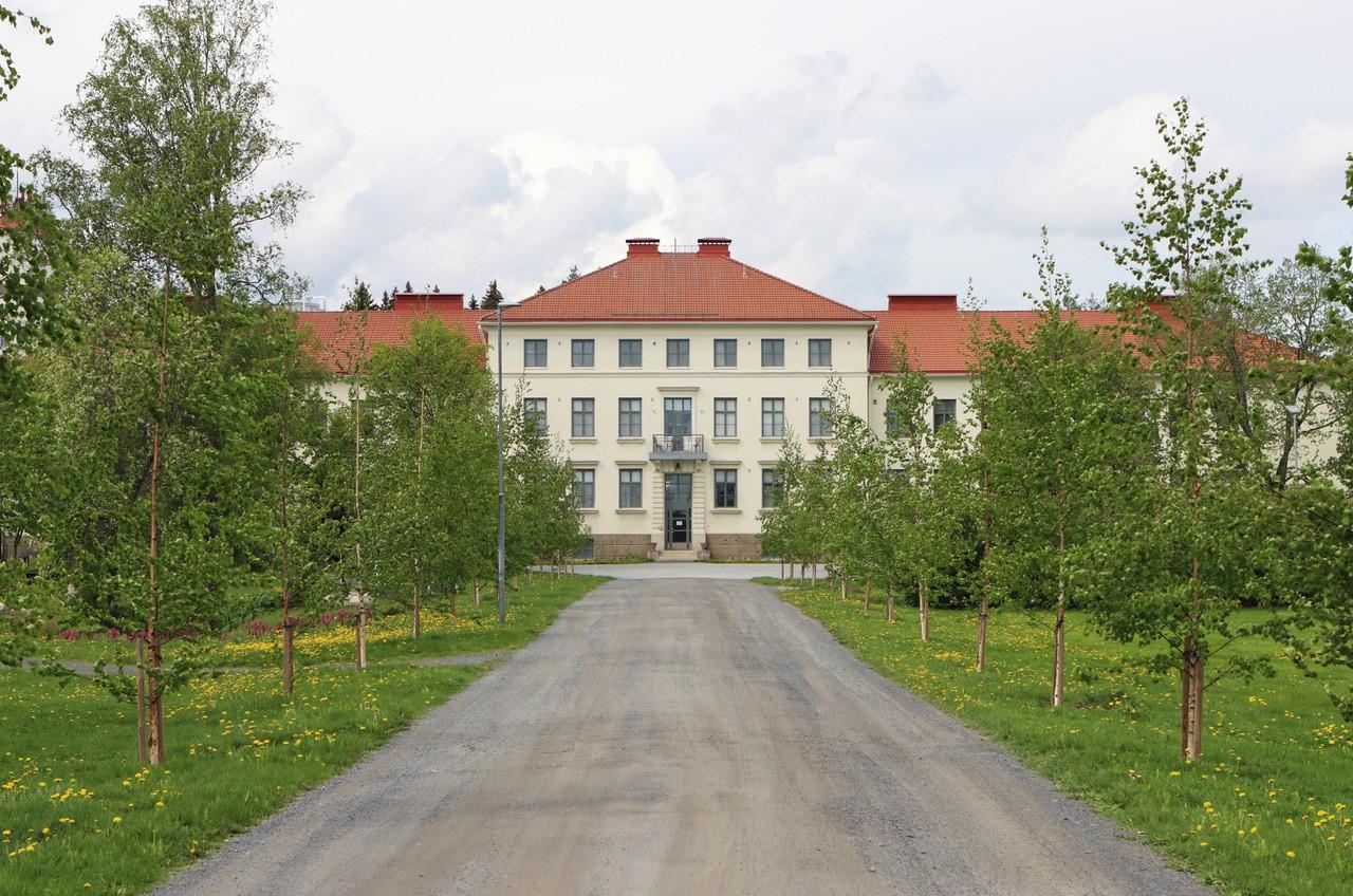 Hostel Björkenheimille ja Piirille johtava koivukuja Törnävällä.