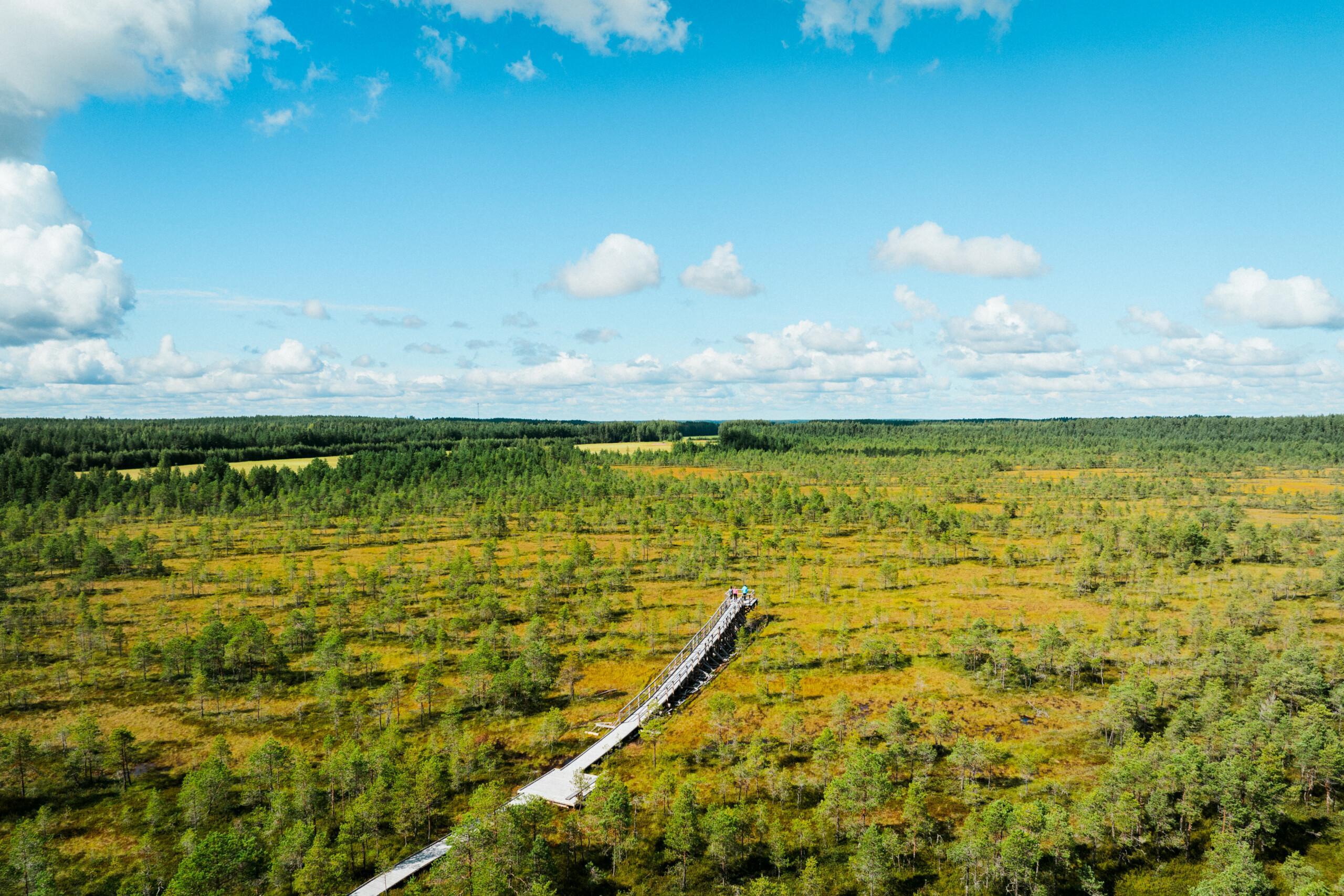 Ilmakuva Paukanevalta